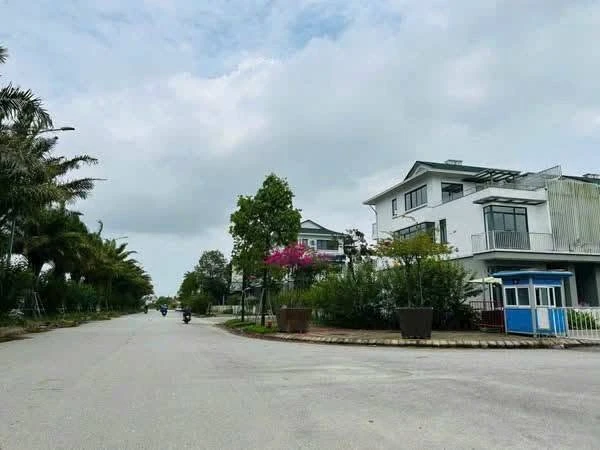Đất mặt tiền Nguyễn Viết Song Huế 100.5m² 2.5 tỷ