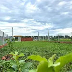 Bán đất nền Thạnh Lộc 400m², gần KCN Kiên Giang - Ảnh thu nhỏ 2