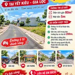 Bán lô đất 80m² mặt tiền 5m tại Gia Lộc, Hải Dương - Ảnh thu nhỏ 1