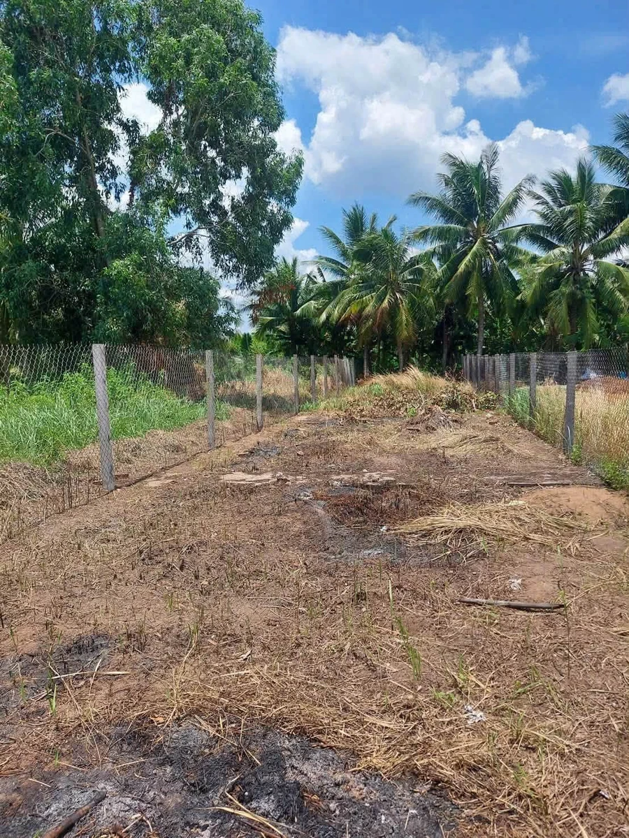Bán đất Phường Phú Khương 221m2, 790 triệu - Ảnh thu nhỏ 4