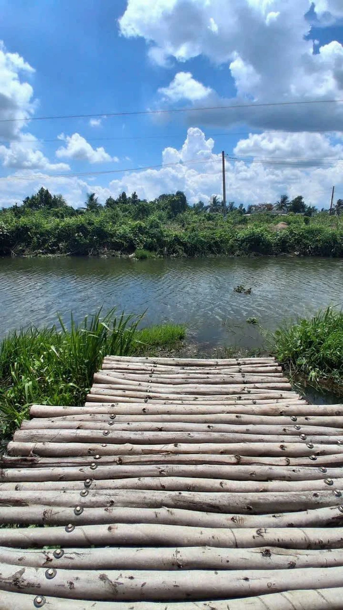 Bán nhà vườn 1000m² 2 phòng ngủ tại Thủ Thừa, Long An - Ảnh thu nhỏ 2