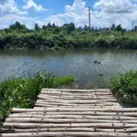 Bán nhà vườn 1000m² 2 phòng ngủ tại Thủ Thừa, Long An - Ảnh thu nhỏ 2