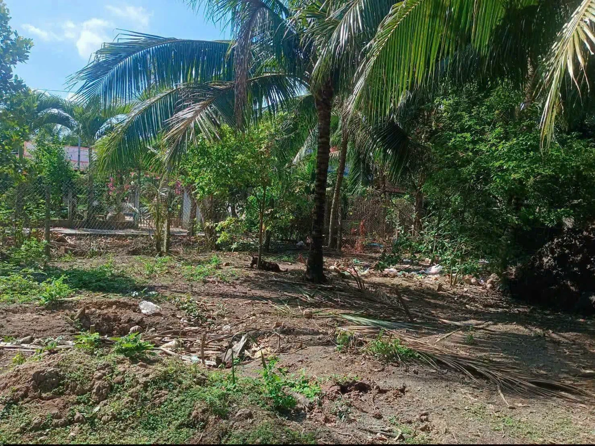 Bán đất Nhà Bè 280m² gần trường cấp Tân Thạch B 650 triệu - Ảnh thu nhỏ 4