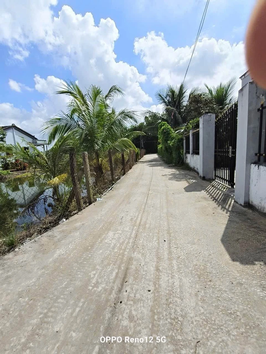 Bán lô đất nền 100m² mặt đường 3m Tây Ninh - Ảnh thu nhỏ 5