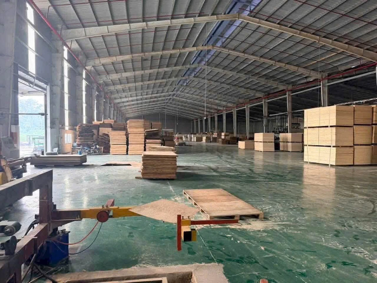Cho thuê nhà xưởng 40.000m2 tại Tân Uyên, Bình Dương, giá 1,68 tỷ/tháng - Ảnh thu nhỏ 2