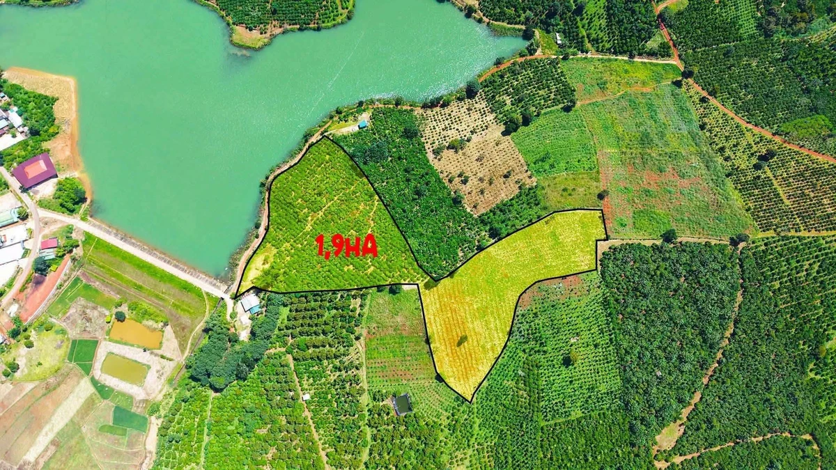 Bán đất nông nghiệp 2 hectare tại Bắc Gia Nghĩa, Lâm Đồng - Ảnh 1