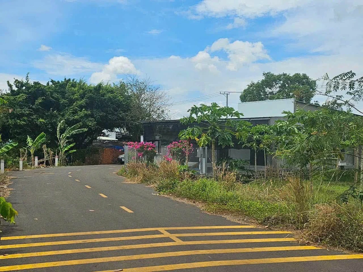 Bán lô đất 300m² đường Phạm Hùng Đất Đỏ, 1 tỷ 150 triệu - Ảnh thu nhỏ 5