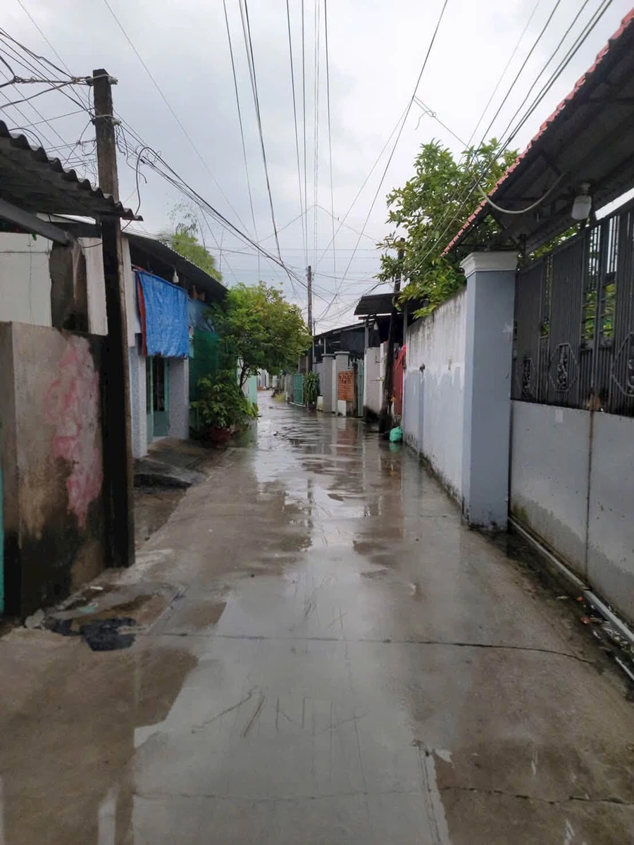 Bán nhà cấp 4 trên 513,3m2 đất, hẻm 59 Lương Văn Chấn, Phường Khánh Hậu, Tân An, Long An - Ảnh 1