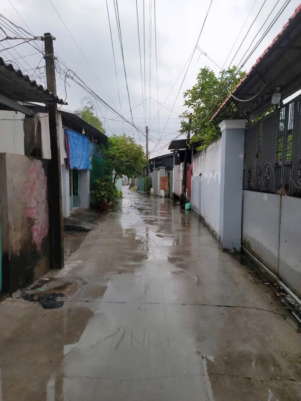 Bán nhà cấp 4 trên 513,3m2 đất, hẻm 59 Lương Văn Chấn, Phường Khánh Hậu, Tân An, Long An