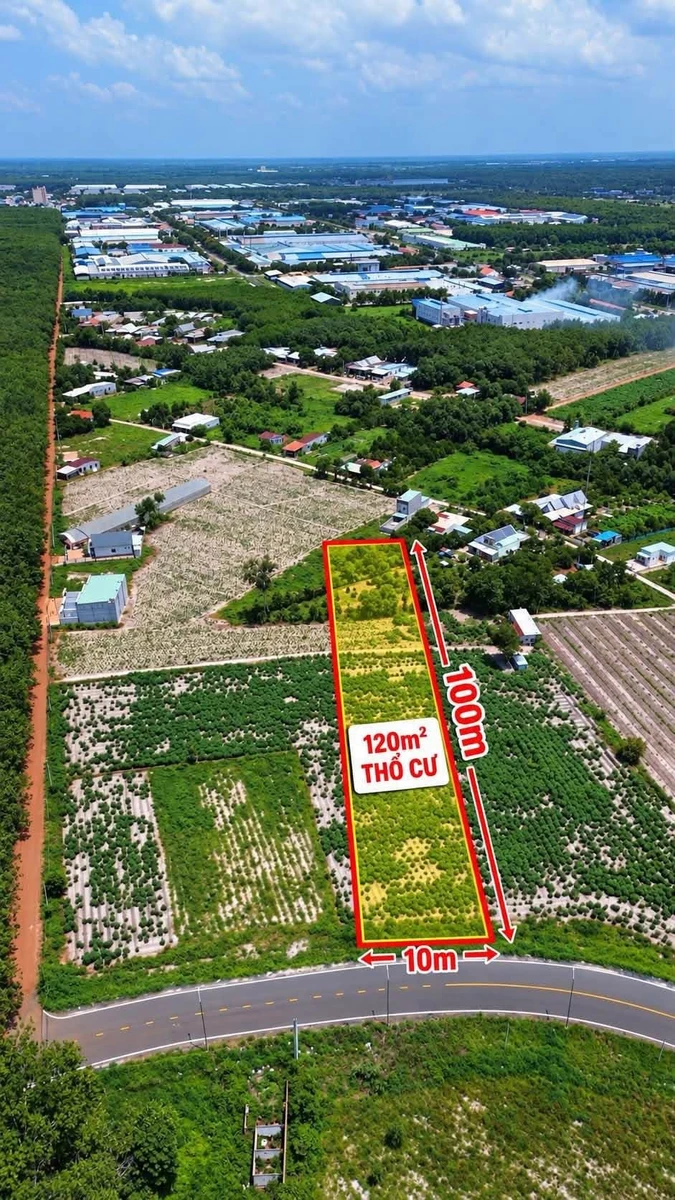 Bán đất 1000m2 mặt tiền đường DH12, Bình Chánh - Ảnh 1