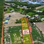 Bán đất 1000m2 mặt tiền đường DH12, Bình Chánh - Ảnh thu nhỏ 1