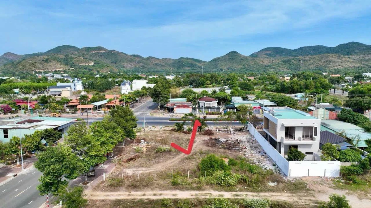 Bán đất mặt tiền Lê Duẩn Long Hải 1035m2 - Ảnh thu nhỏ 2