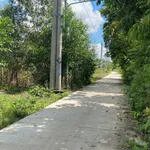 Bán 1300m2 đất cây lâu năm Lagi Bình Thuận 2 tỷ - Ảnh thu nhỏ 1