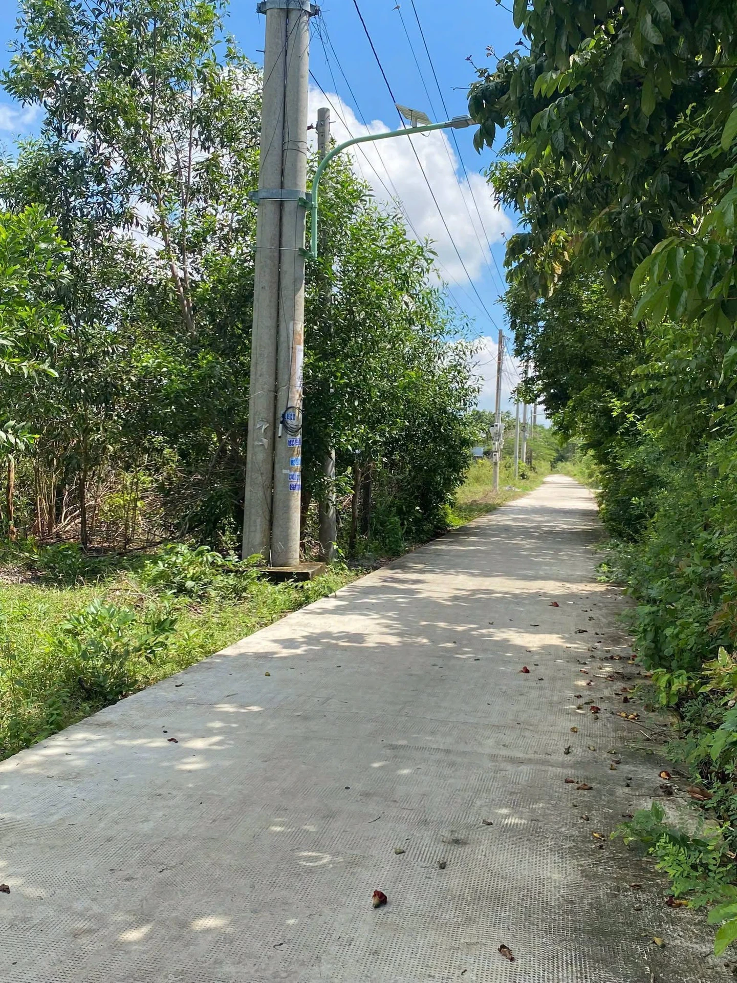 Bán 1300m2 đất cây lâu năm Lagi Bình Thuận 2 tỷ - Ảnh 1
