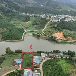 Bán đất Đạm Rông 1 Lâm Đồng 8000m2, 2 tỷ 250 triệu - Ảnh thu nhỏ 1