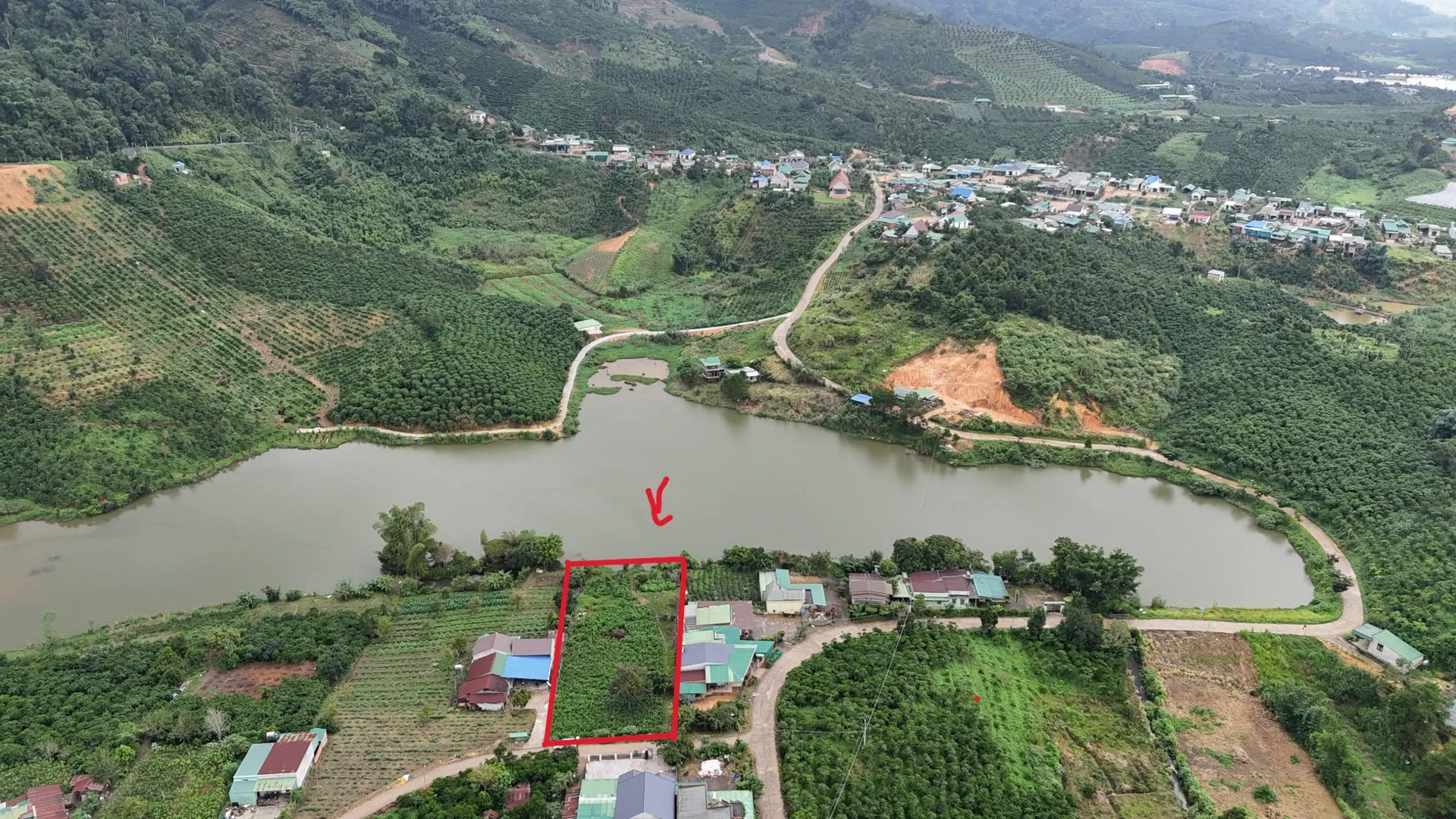 Bán đất Đạm Rông 1 Lâm Đồng 8000m2, 2 tỷ 250 triệu - Ảnh 1