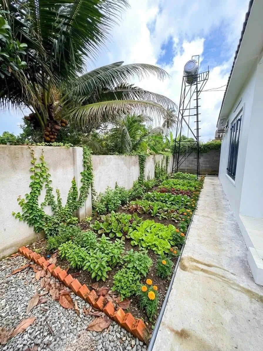 Nhà bán 690 triệu, sổ riêng, 350m², Long Khánh - Ảnh thu nhỏ 3