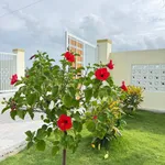 Bán nhà vườn nghỉ dưỡng 1.600m² gần Phan Thiết 1,85 tỷ - Ảnh thu nhỏ 1
