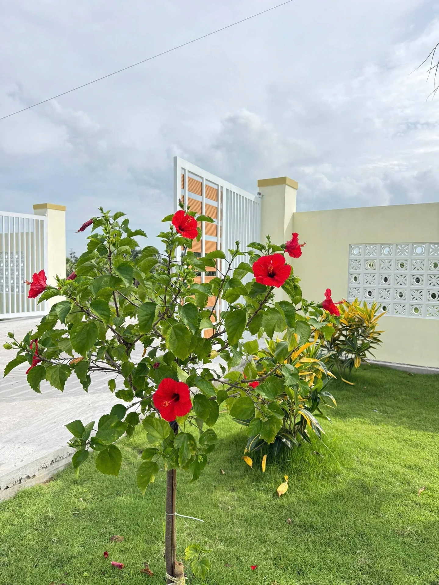 Bán nhà vườn nghỉ dưỡng 1.600m² gần Phan Thiết 1,85 tỷ - Ảnh 1