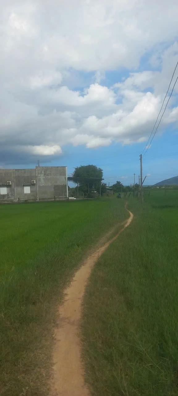 Bán 7.000m² đất cây trồng Hàm Chính Bình Thuận 400 triệu - Ảnh 1