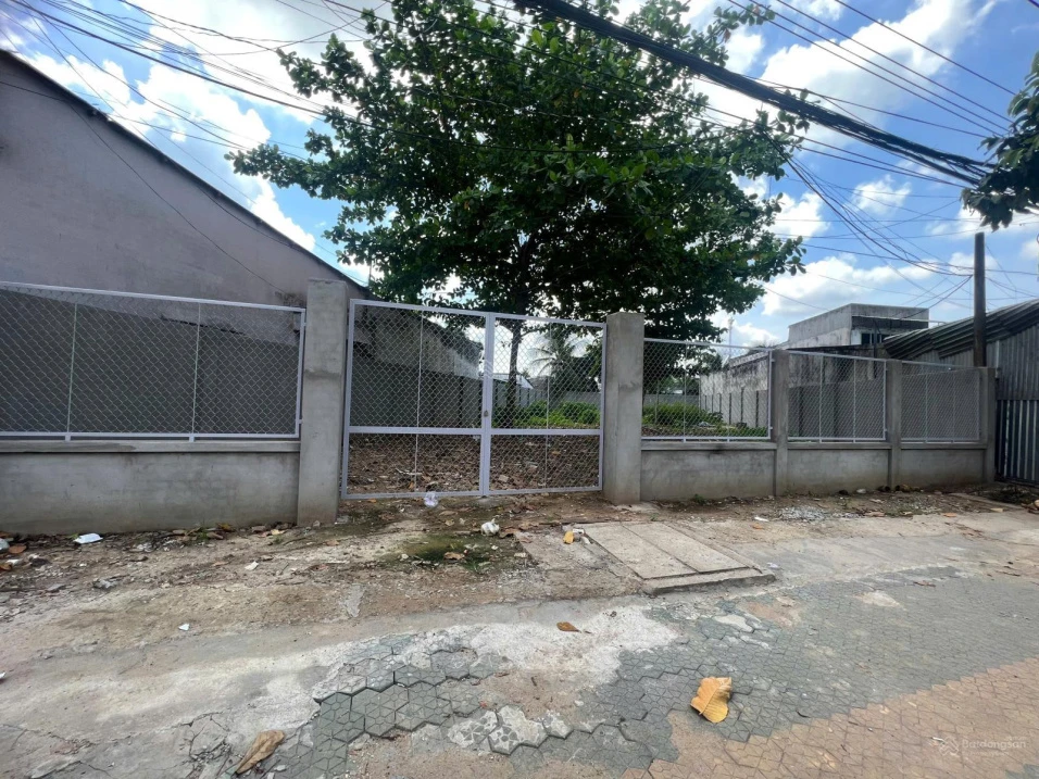 Bán đất view đẹp tại Quốc Lộ 60, xã Sơn Đông, thành phố Bến Tre, 10,5 tỷ, 545,6 m2 - Ảnh 1