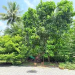 Bán biệt thự vườn An Khánh 1000m2 tại Bến Tre - Ảnh thu nhỏ 4