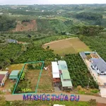 Bán đất 667m² mặt tiền Khúc Thừa Dụ Bảo Lộc 4,35 tỷ - Ảnh thu nhỏ 1