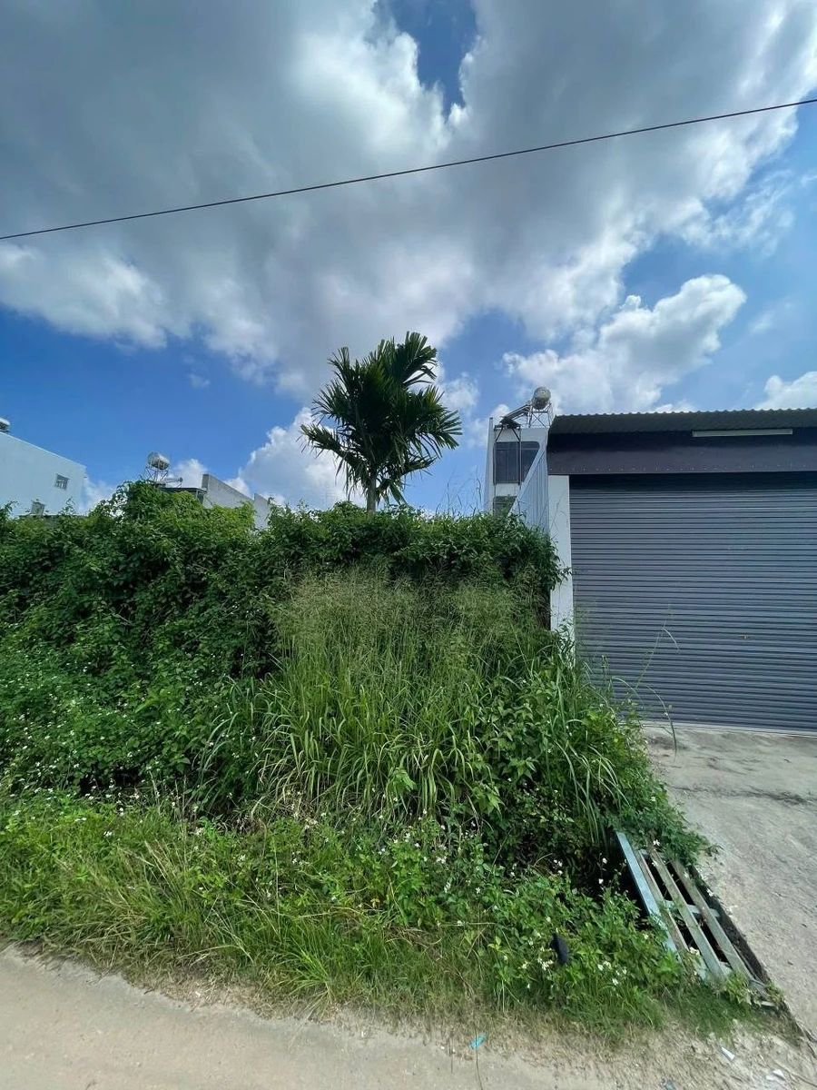 Bán lô đất hẻm Nguyễn Trường Tộ 5x22m, view cánh đồng, gần Đại học Tây Nguyên, Buôn Ma Thuột - Ảnh thu nhỏ 4