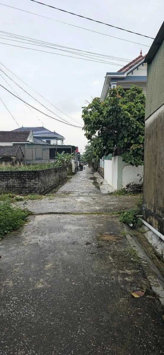 Bán lô đất 188.6m² Diễn Hùng, Nghệ An, 1 tỷ 2 - Ảnh thu nhỏ 3