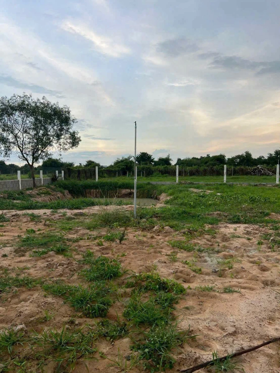 Bán 1000m² đất thôn Hàm Liêm, Phan Thiết 550 triệu - Ảnh thu nhỏ 2