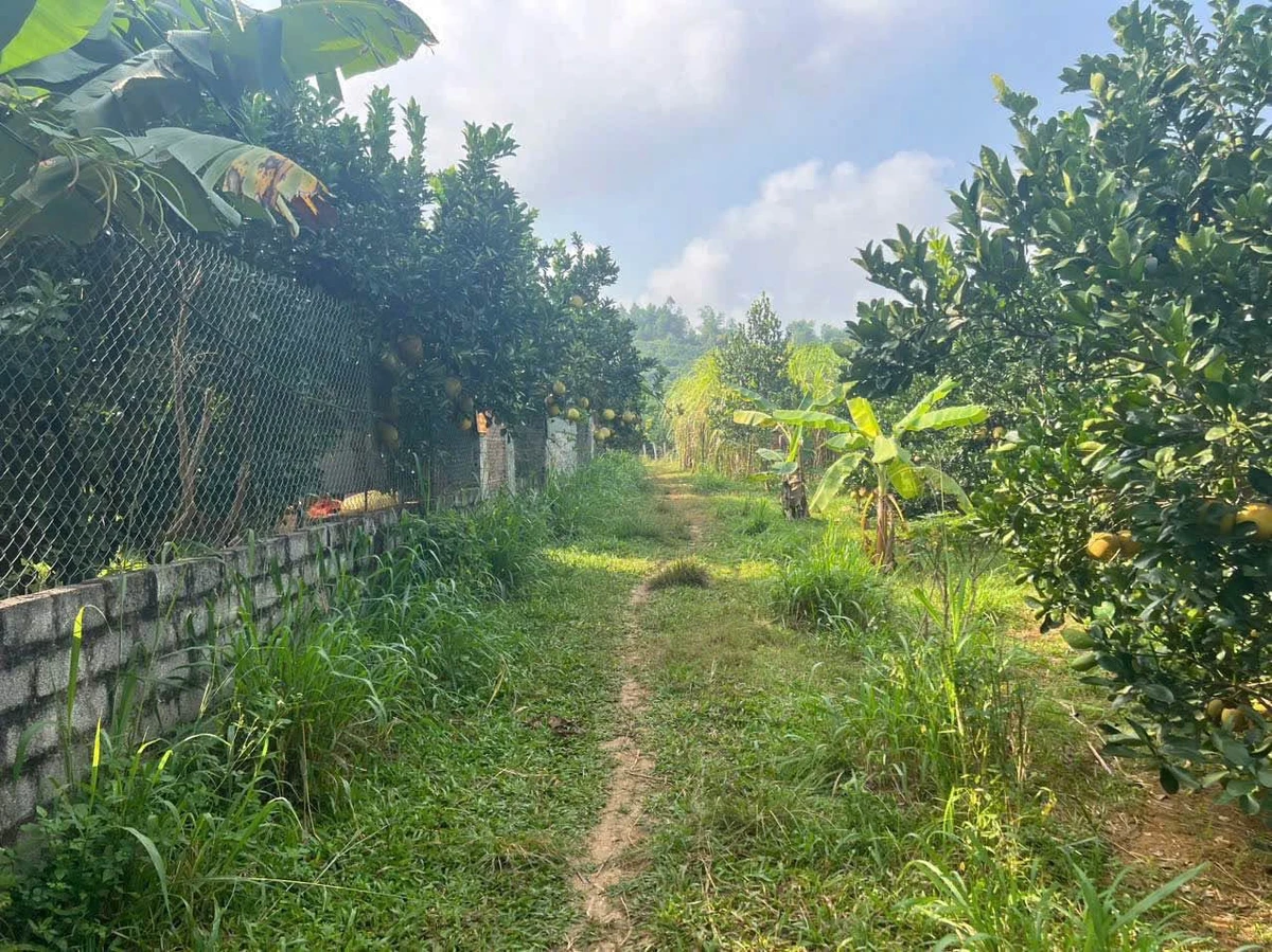 Bán đất 360m² Tân Lạc Hòa Bình 199 triệu - Ảnh thu nhỏ 3