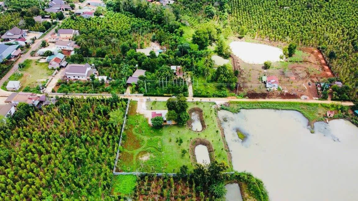 Bán đất sào view hồ Eaning, diện tích 3.400m², giá 4,9 tỷ tại Cư Kuin, Đắk Lắk - Ảnh thu nhỏ 4