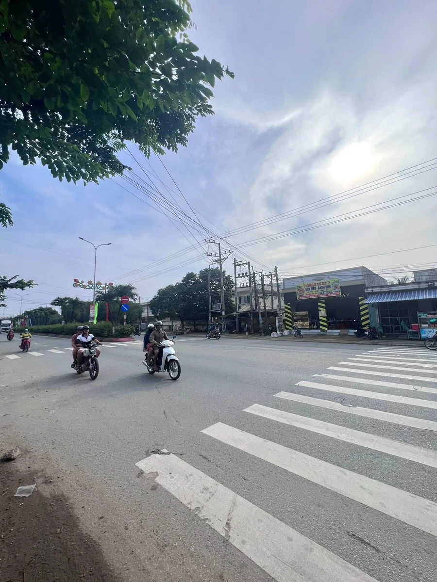 Bán đất 116m² Đức Hoà Long An, sổ hồng riêng - Ảnh thu nhỏ 2