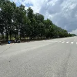 Bán đất 450m2 Mỹ Phước 4, Bình Dương - Ảnh thu nhỏ 5