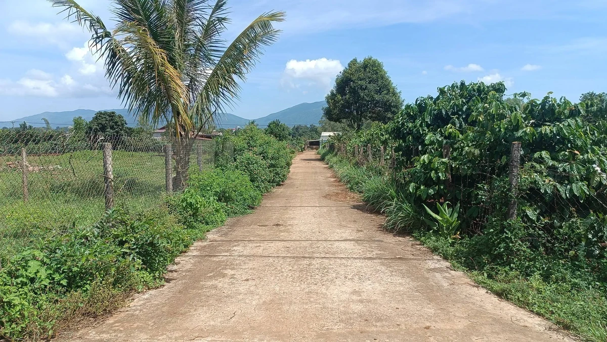 Bán đất hẻm Đào Duy Từ 125m², dưới 400 triệu - Ảnh thu nhỏ 3