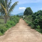 Bán đất hẻm Đào Duy Từ 125m², dưới 400 triệu - Ảnh thu nhỏ 3