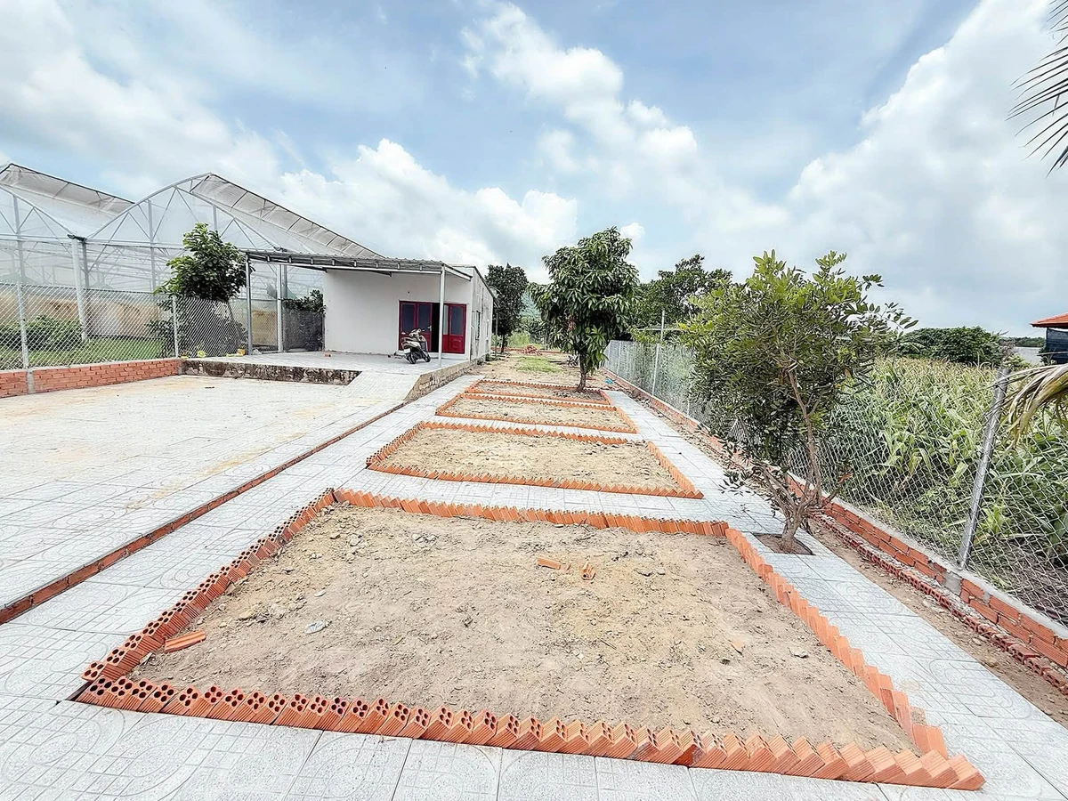 Bán nhà vườn 500m2 Long Mỹ, xã Phước Hải, TP.HCM giá 2,05 tỷ - Ảnh thu nhỏ 3