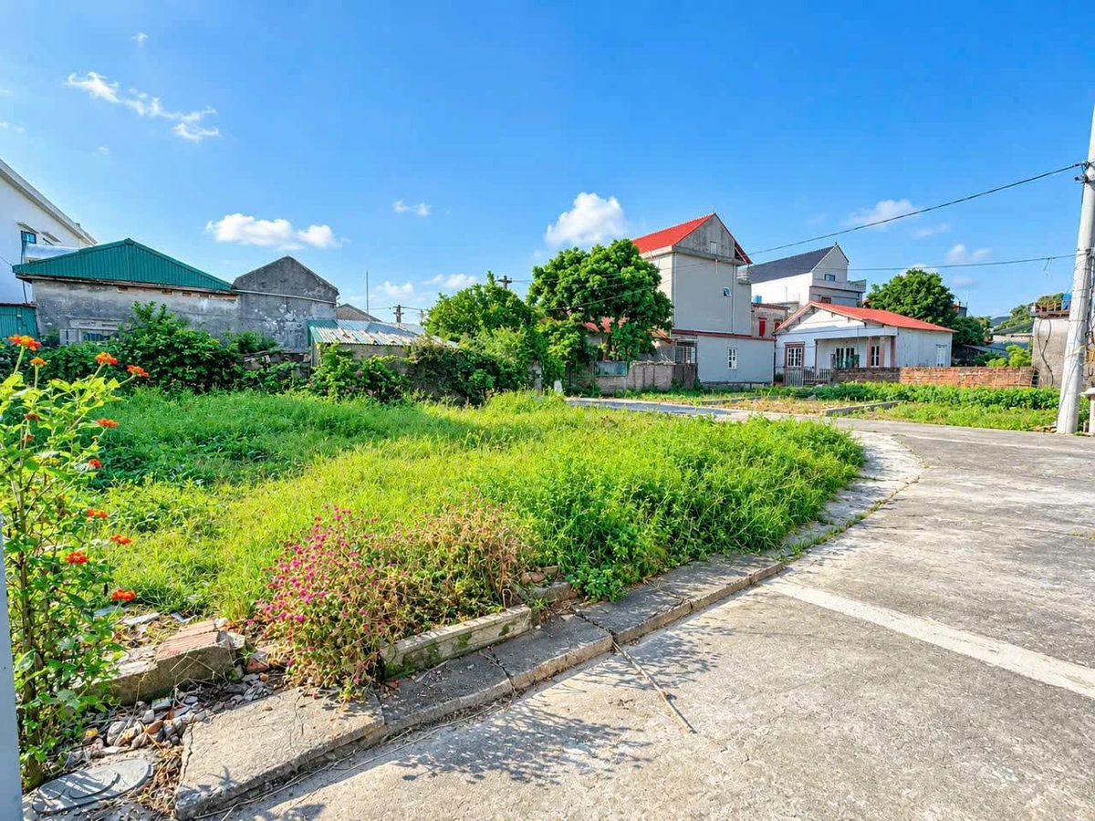 Bán đất 400m² Phạm Khê Thanh Miện Hải Phòng giá 1 tỷ - Ảnh thu nhỏ 4