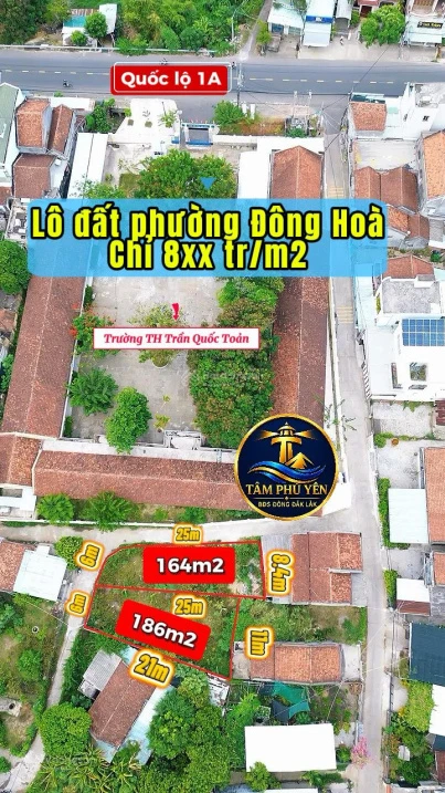 Lô đất 184m2, sổ hồng riêng, thổ cư, đương ô tô, giá 820 triệu - Ảnh 1