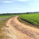 Bán đất 2000m² mặt tiền ở Châu Thành, Tây Ninh - Ảnh thu nhỏ 3