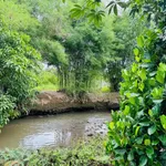 Bán đất 8000m² mặt tiền Tín Nghĩa, Bình Lộc, Đồng Nai - Ảnh thu nhỏ 3