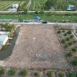Bán đất thổ cư 203m² view sông Bến Lức 390 triệu - Ảnh thu nhỏ 1
