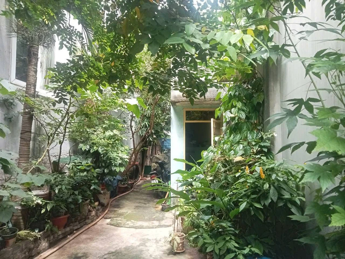 Bán nhà mặt tiền Nguyễn Tri Phương Buôn Ma Thuột 230m2 14 tỷ - Ảnh thu nhỏ 2