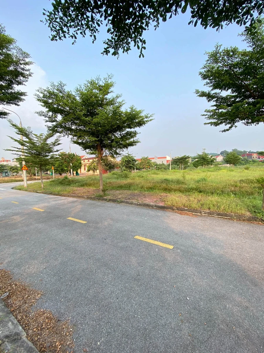 Bán đất nền 160m2 ở Chu Văn An, Hải Phòng giá 3 tỷ - Ảnh thu nhỏ 3