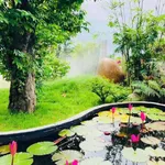 Bán đất vườn 1.333m² Thôn 5 Hàm Liêm 1 tỷ 500 - Ảnh thu nhỏ 4