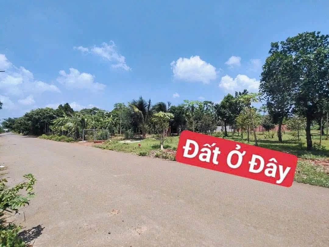 Bán 516m2 đất vườn tại Phường Tam Long, Bà Rịa, giá 1 tỷ 750 - Ảnh thu nhỏ 2