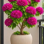 Bán nhà mặt tiền 104m2 giá 5 tỷ 1, Quy Nhơn - Ảnh thu nhỏ 3