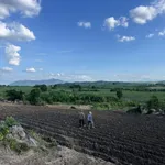 Bán 1 hecta đất tại huyện M'Đrăk, tỉnh Đắk Lắk - Ảnh thu nhỏ 3
