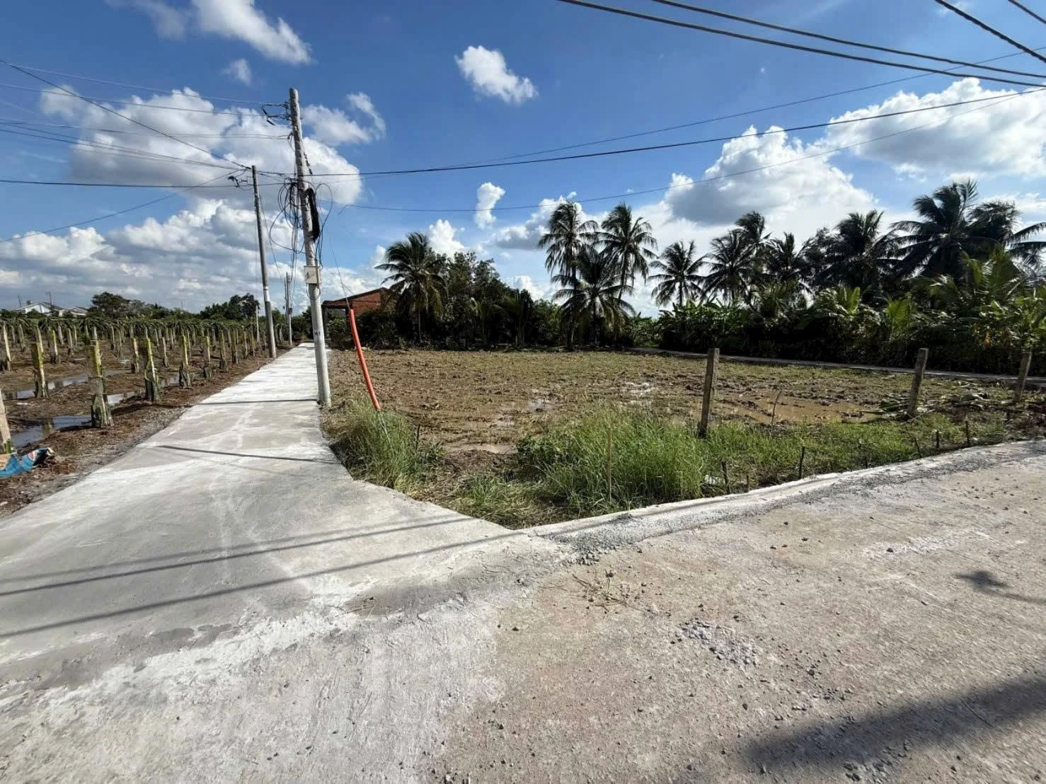 Bán đất thổ cư 5x25m giá 310 triệu, xã Thuận Mỹ, Tây Ninh - Ảnh 1