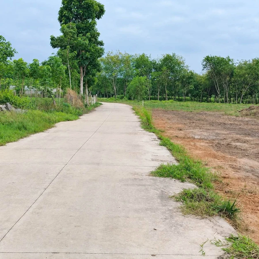 Bán đất thổ cư 110m2 (5x22) Chánh Phú Hòa, Bến Cát, giá 1,15 tỷ - Ảnh thu nhỏ 3